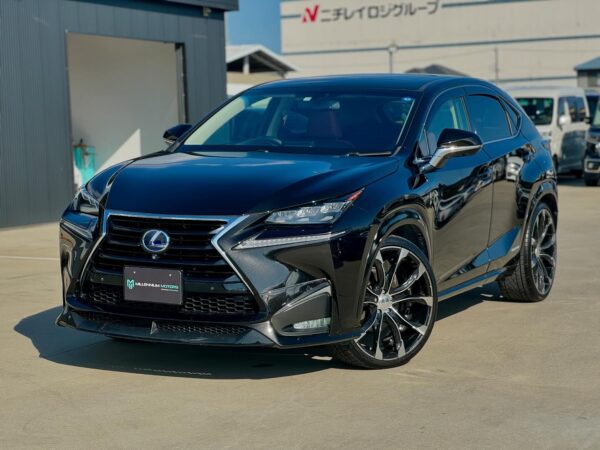 Lexus NX frente