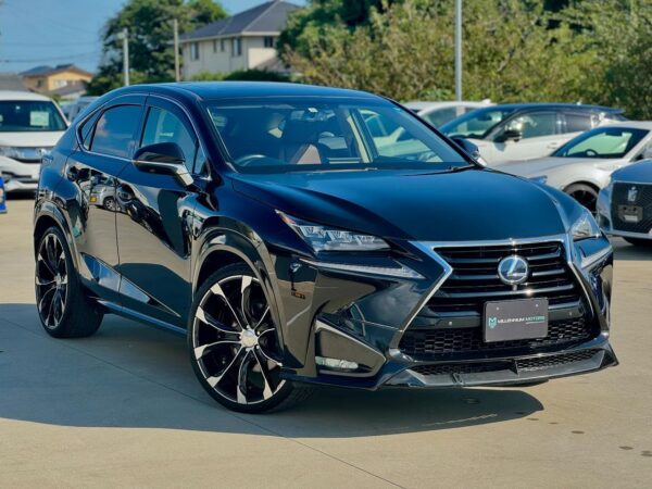 Lexus NX frente