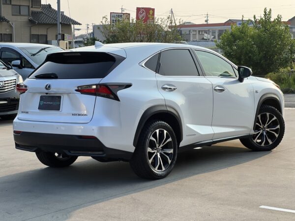 NX traseira