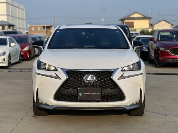 NX frente
